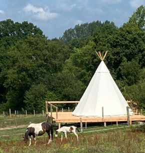 Tipi en pleine nature avec les chevaux